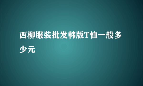 西柳服装批发韩版T恤一般多少元