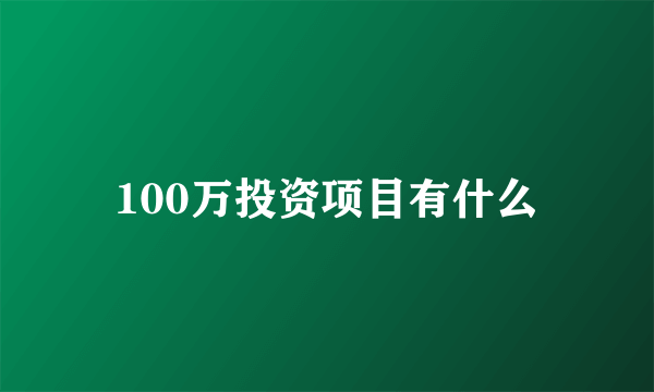 100万投资项目有什么