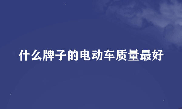 什么牌子的电动车质量最好