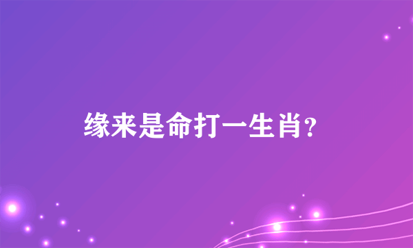 缘来是命打一生肖？