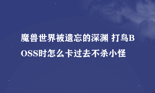 魔兽世界被遗忘的深渊 打鸟BOSS时怎么卡过去不杀小怪