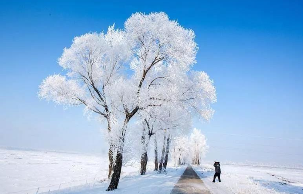 山西一小区物业悄悄下了场人造雪，人造雪的原理你知道吗？