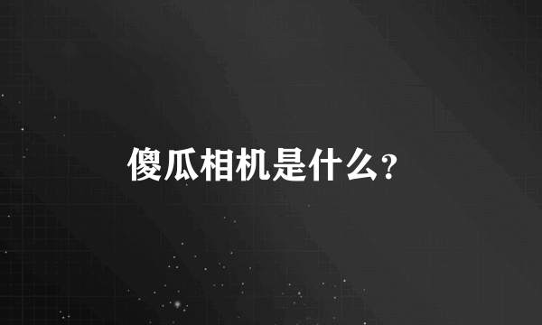 傻瓜相机是什么？