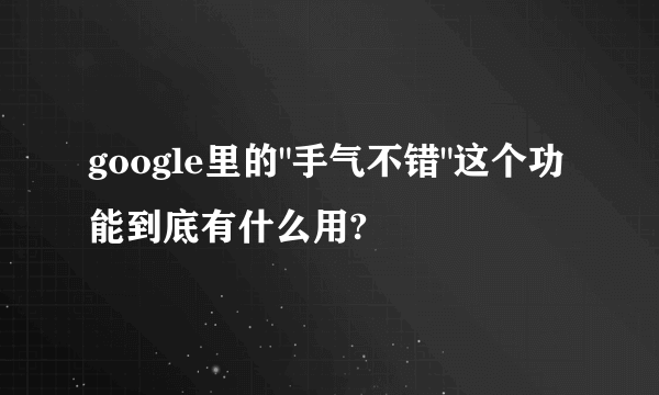 google里的