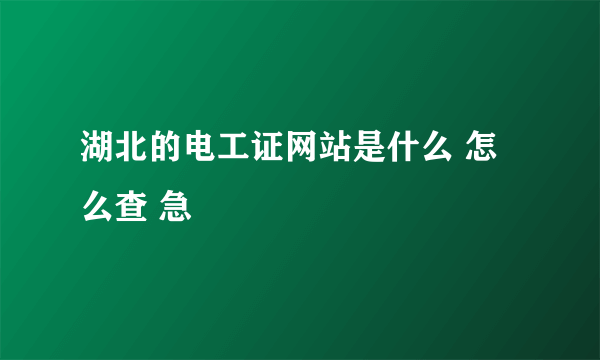 湖北的电工证网站是什么 怎么查 急