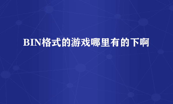 BIN格式的游戏哪里有的下啊