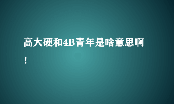 高大硬和4B青年是啥意思啊！