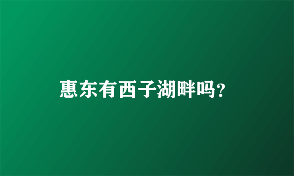 惠东有西子湖畔吗？