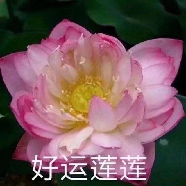 惟愿和顺至祥幸福美满什么意思？