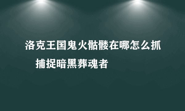 洛克王国鬼火骷髅在哪怎么抓 捕捉暗黑葬魂者