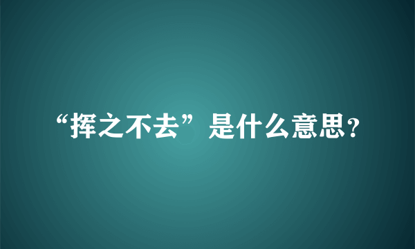 “挥之不去”是什么意思？