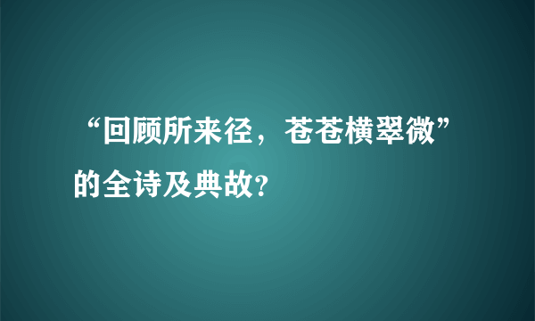 “回顾所来径，苍苍横翠微”的全诗及典故？