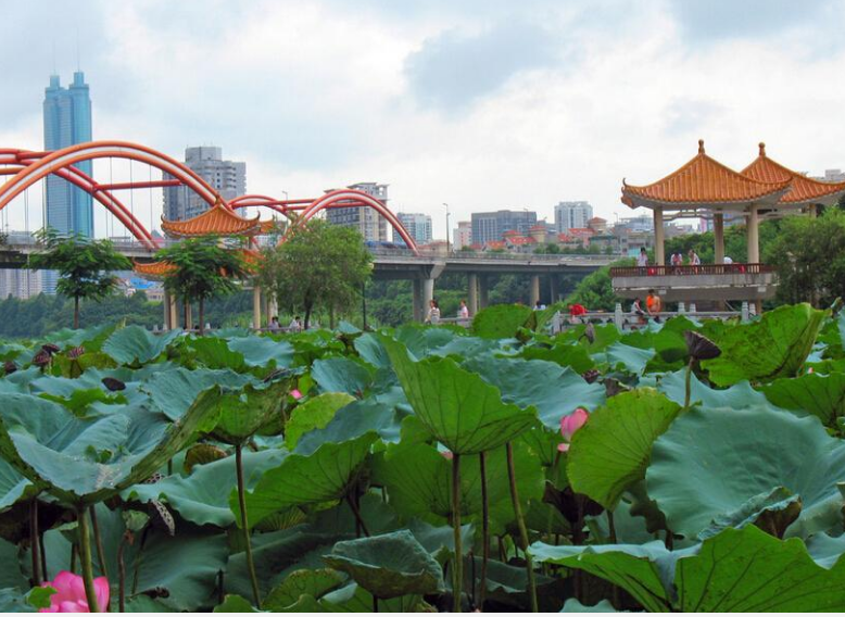 中国最大的淡水湖排名