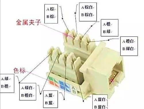 家庭网线插座接法图解