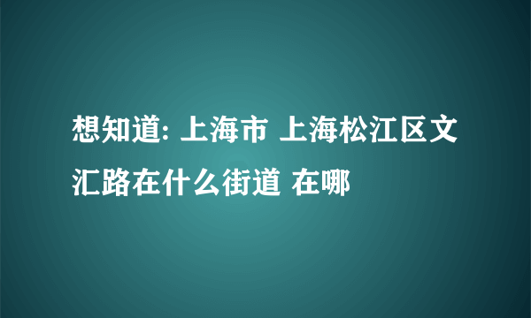 想知道: 上海市 上海松江区文汇路在什么街道 在哪