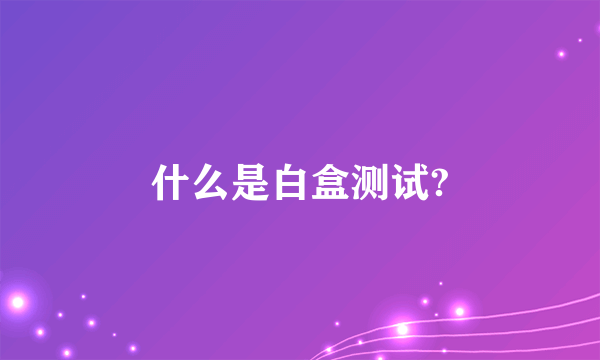 什么是白盒测试?