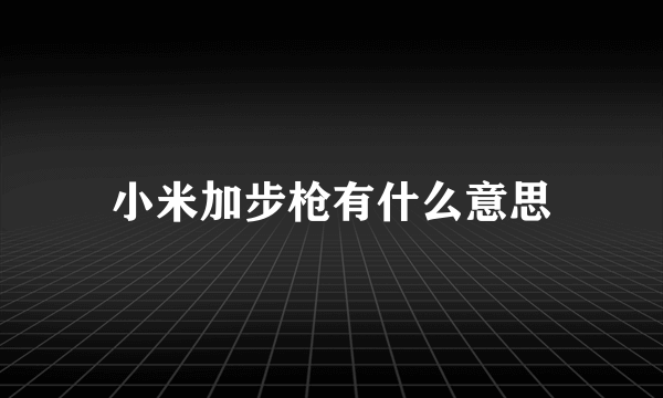 小米加步枪有什么意思