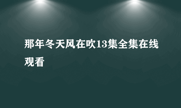 那年冬天风在吹13集全集在线观看