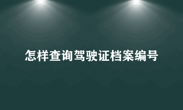 怎样查询驾驶证档案编号