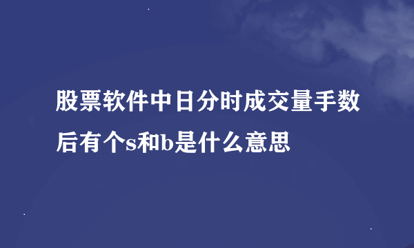 股票软件中日分时成交量手数后有个s和b是什么意思