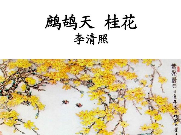 何须浅碧轻红色 自是花中第一流 花指的是什么？