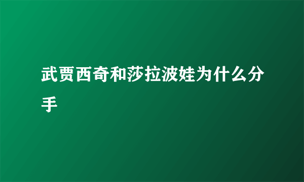 武贾西奇和莎拉波娃为什么分手