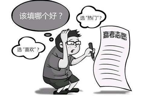 志愿填了之后多久可以在考试院官网查询是否被录取啊？