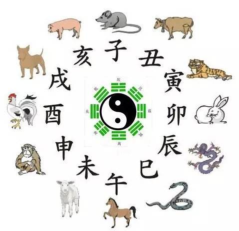 一天的十二个时辰是什么？