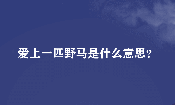 爱上一匹野马是什么意思？