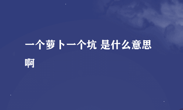 一个萝卜一个坑 是什么意思啊