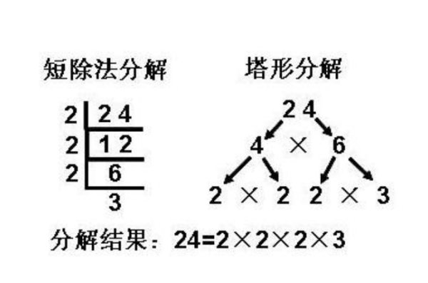 怎么分解质因数？