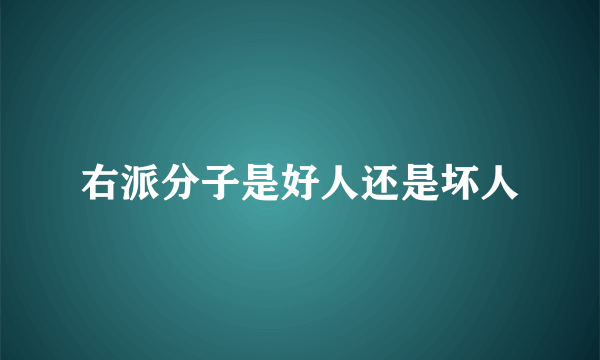 右派分子是好人还是坏人