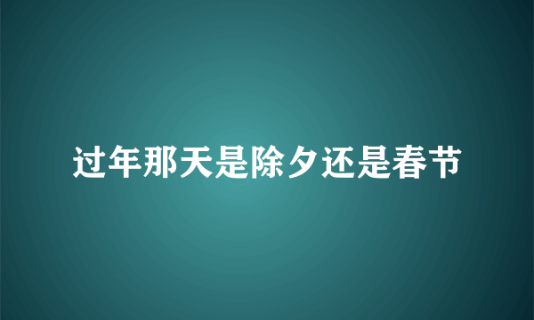 过年那天是除夕还是春节