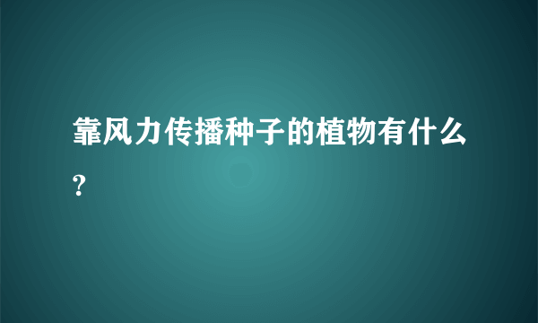 靠风力传播种子的植物有什么?