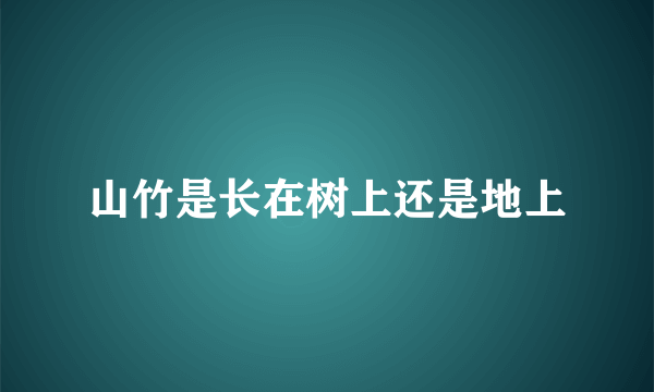 山竹是长在树上还是地上