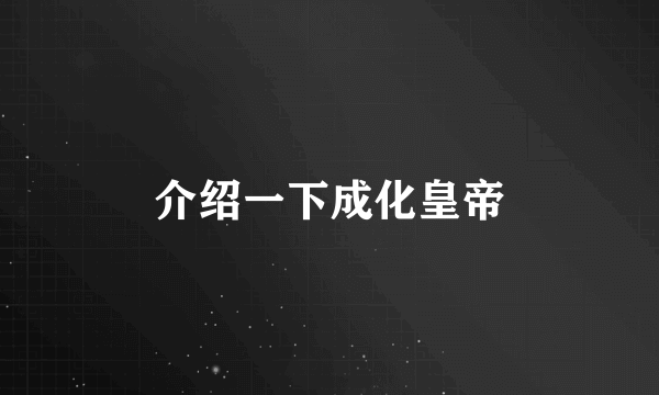 介绍一下成化皇帝