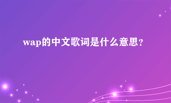 wap的中文歌词是什么意思？