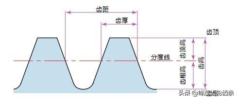 帮忙计算齿条的参数