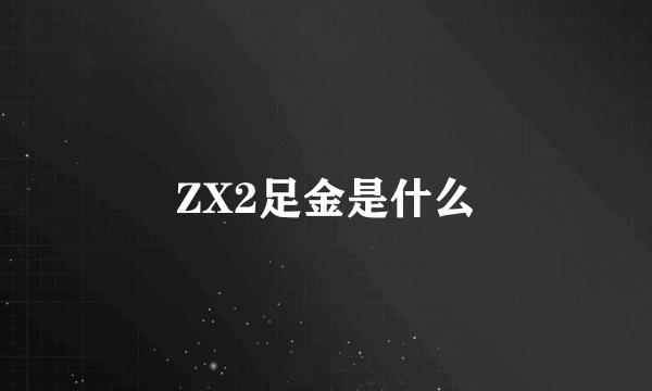 ZX2足金是什么