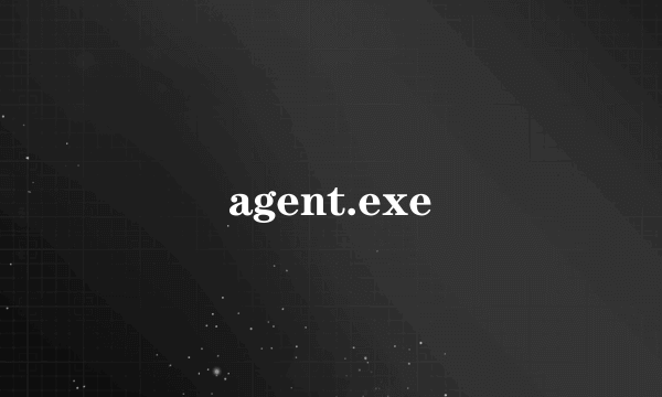 agent.exe