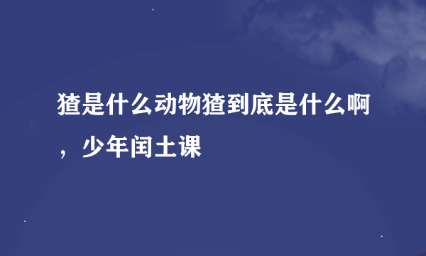 猹是什么动物猹到底是什么啊，少年闰土课