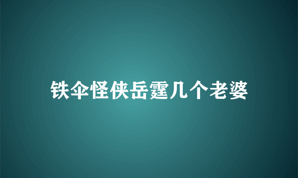 铁伞怪侠岳霆几个老婆