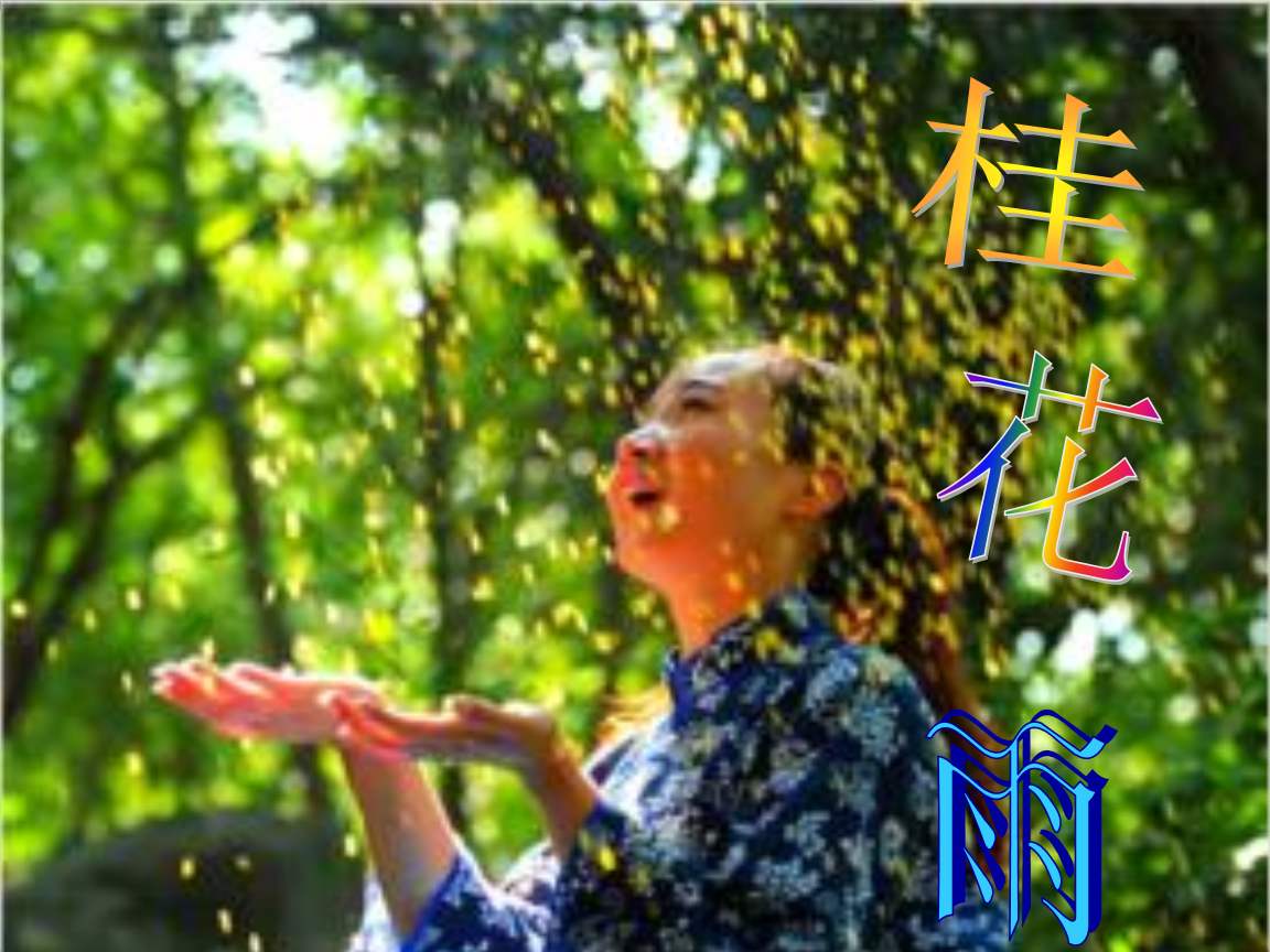 《桂花雨》的主要内容