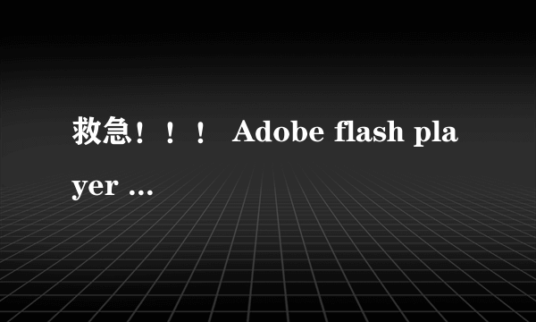 救急！！！ Adobe flash player 10.2