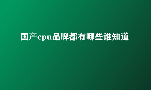 国产cpu品牌都有哪些谁知道