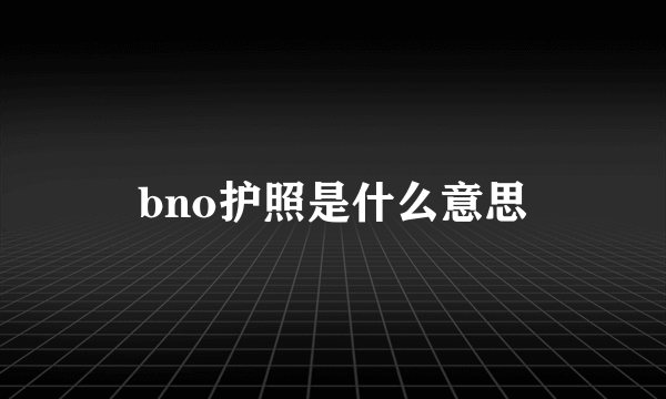 bno护照是什么意思