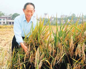 人民日报发文追记袁隆平，听到这个消息后，你有何感想？