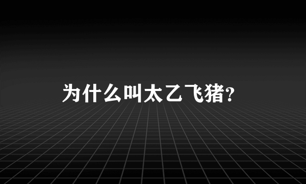 为什么叫太乙飞猪？