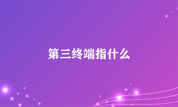 第三终端指什么