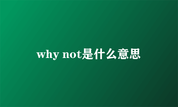 why not是什么意思